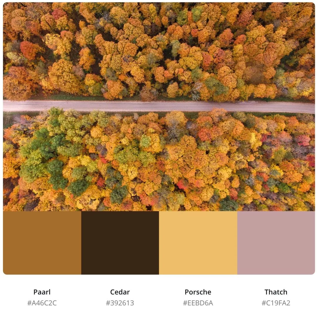 景物篇0180份关于秋天的配色设计,速度码住!