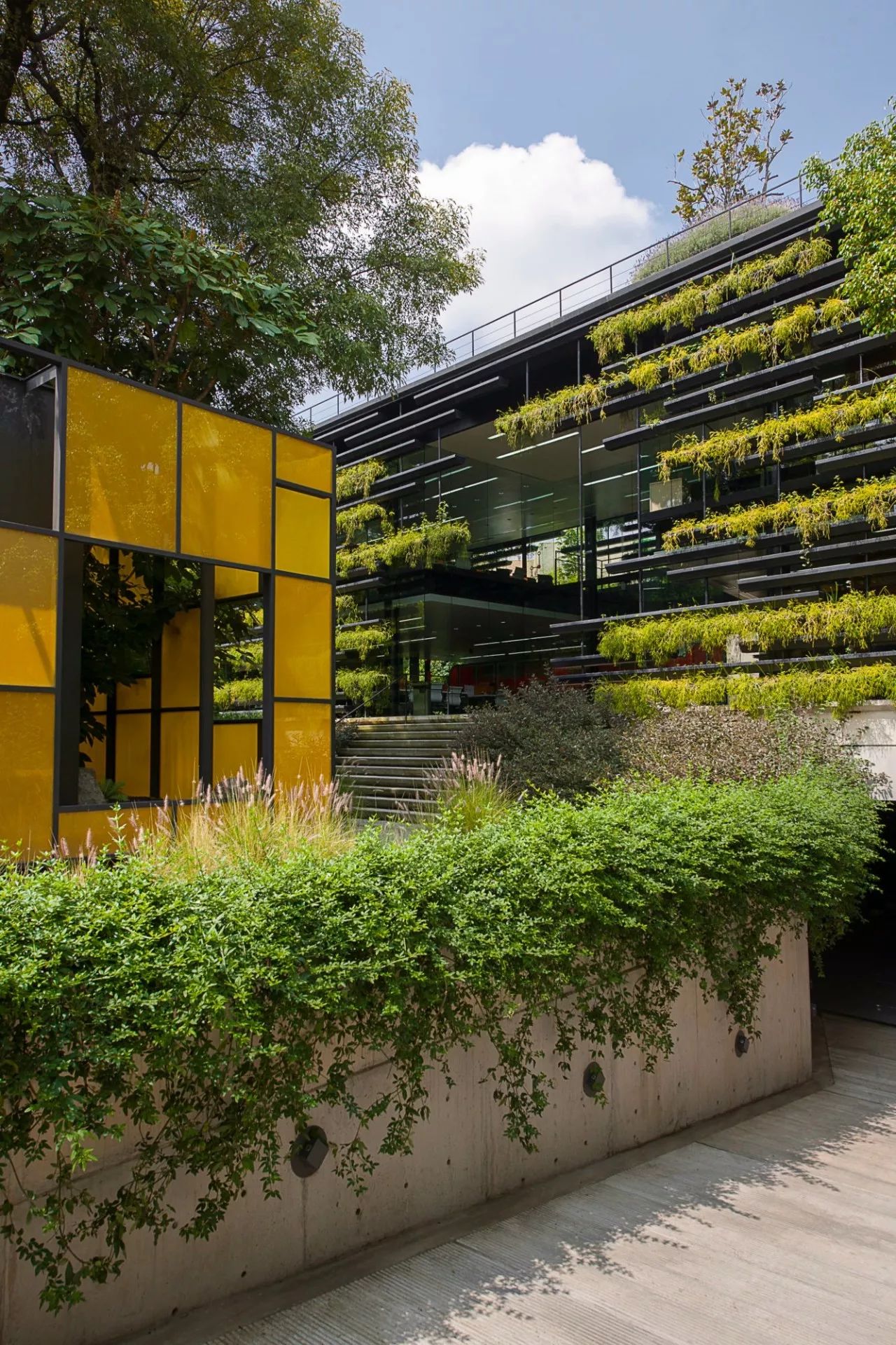 绿色建筑?看看这8个事务所怎样设计的 - 工程资料库